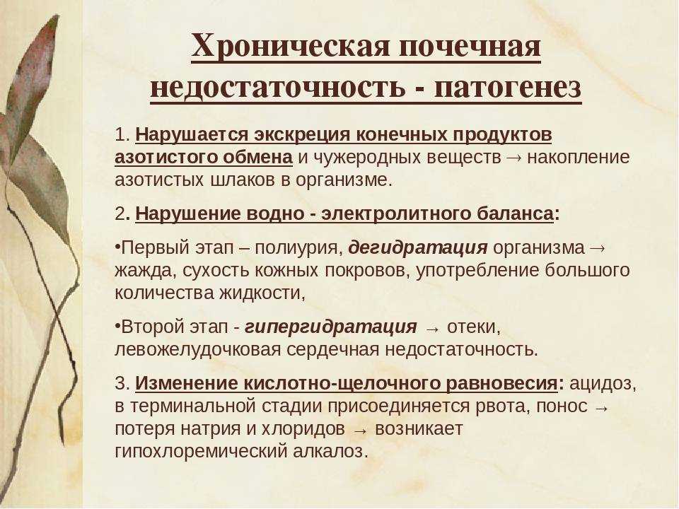 Болезни почек у котов: симптомы, причины, лечение и профилактика заболевания