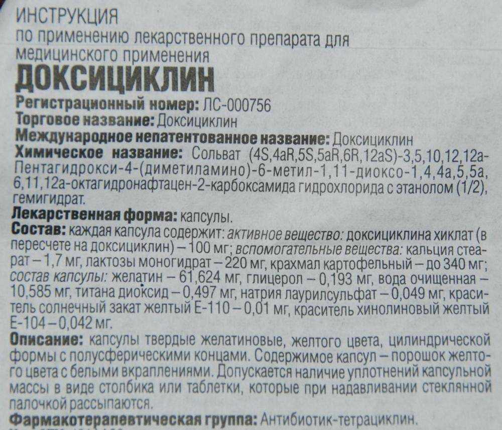 Хламидиоз у кошек - симптомы, лечение, причины и профилактика