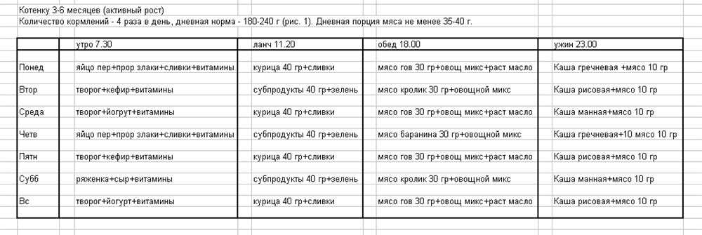 Как и чем кормить шотландского котенка правильно: корма, натуральный рацион