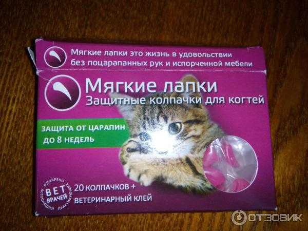 Мягкие лапки для кошек и котов: отзывы. страшные последствия операции мягкие лапки (удаление когтей) у котоввсе о породах кошек с описанием, фотографиями и названиями.