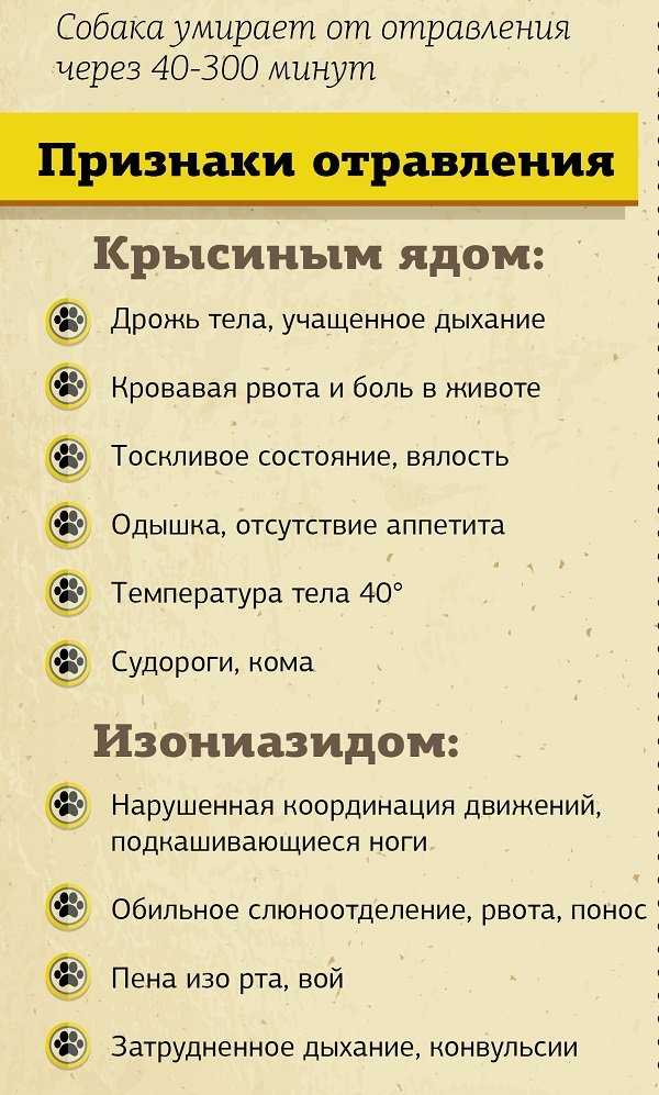 ᐉ отрава для собак: чем и как травят собак догхантеры, что делать - kcc-zoo.ru