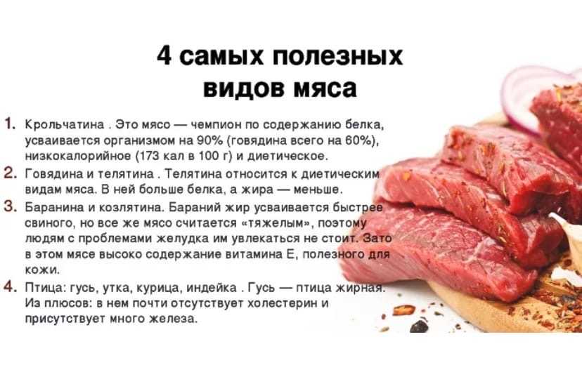 Можно ли кормить собаку сырым мясом