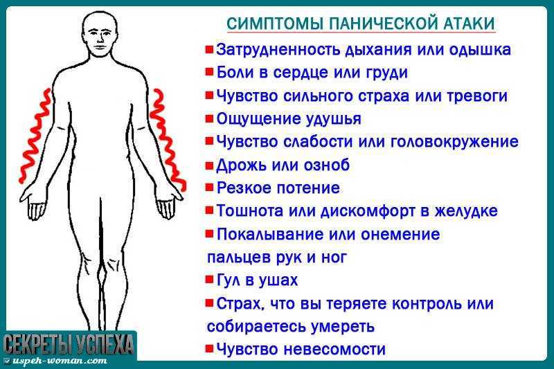 Кот дрожит после купания: список причин