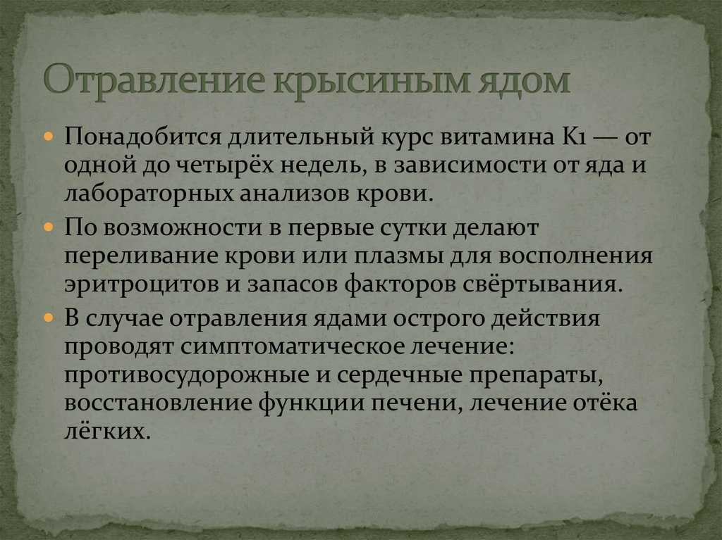 Отравление кошки крысиным ядом: симптомы, что делать, лечение, уход
