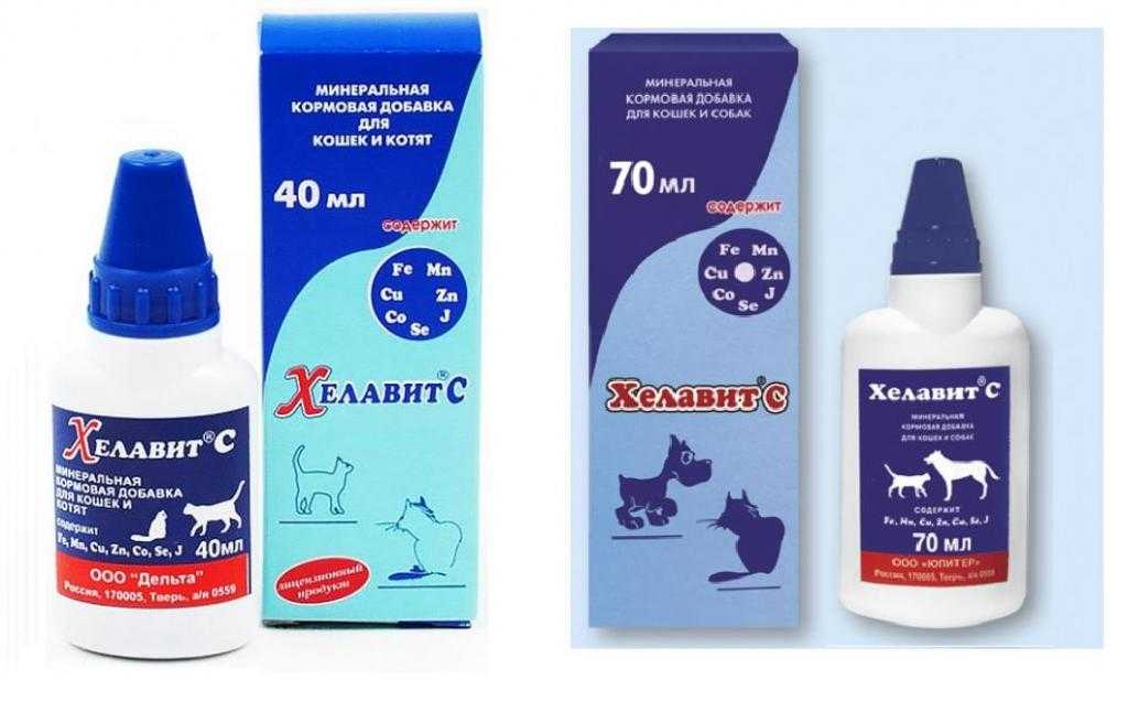 Витамины для кошек sanal: самые эффективные и популярные препараты бренда