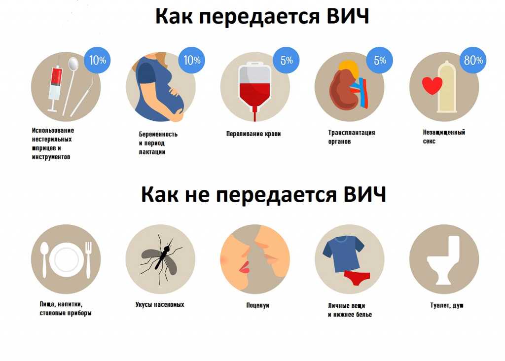 Могут ли коты заразиться от человека простудой: заразен ли человек?