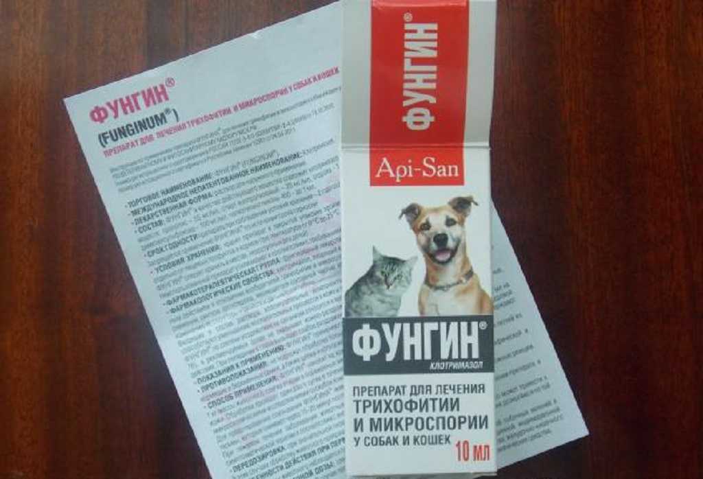 Фукорцин для кошек - инструкция по применению, дозировка