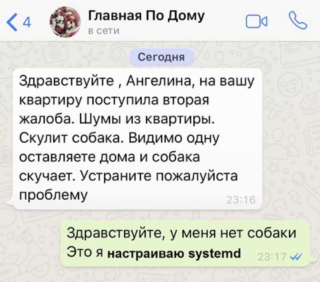 Почему собака скулит без причины и не находит себе места?