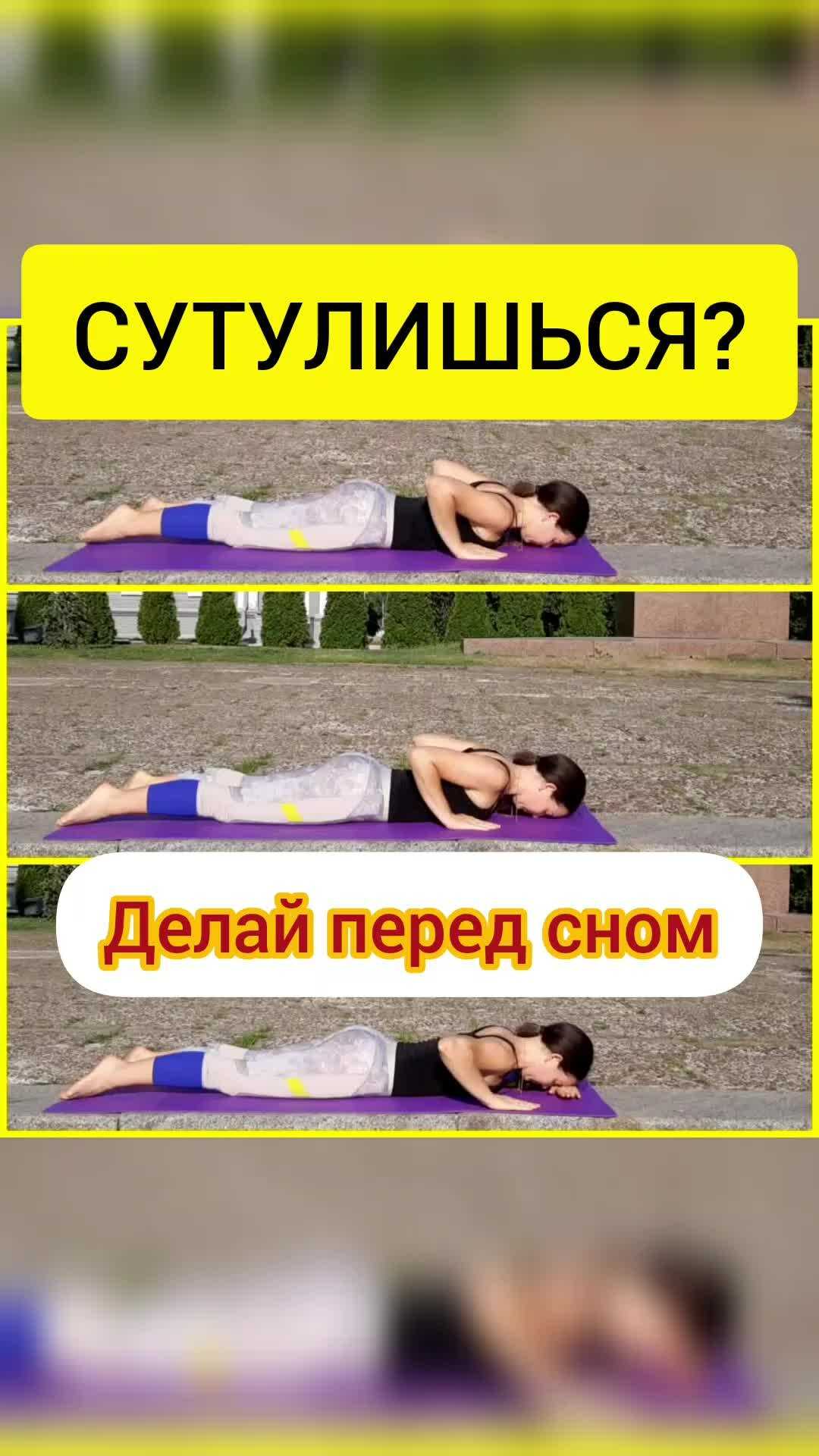 Сколько часов в сутки спит собака — взрослая или щенок