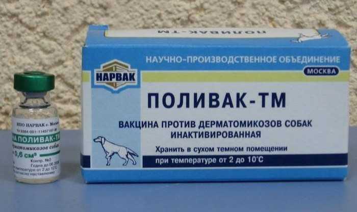Поливак-тм для кошек: инструкция по применению, противопоказания и побочные эффекты, аналоги, отзывы