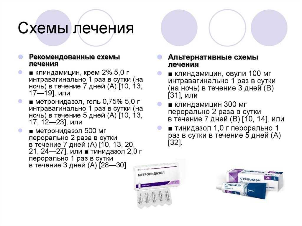 ᐉ папаверин для кошек дозировка - zoomanji.ru