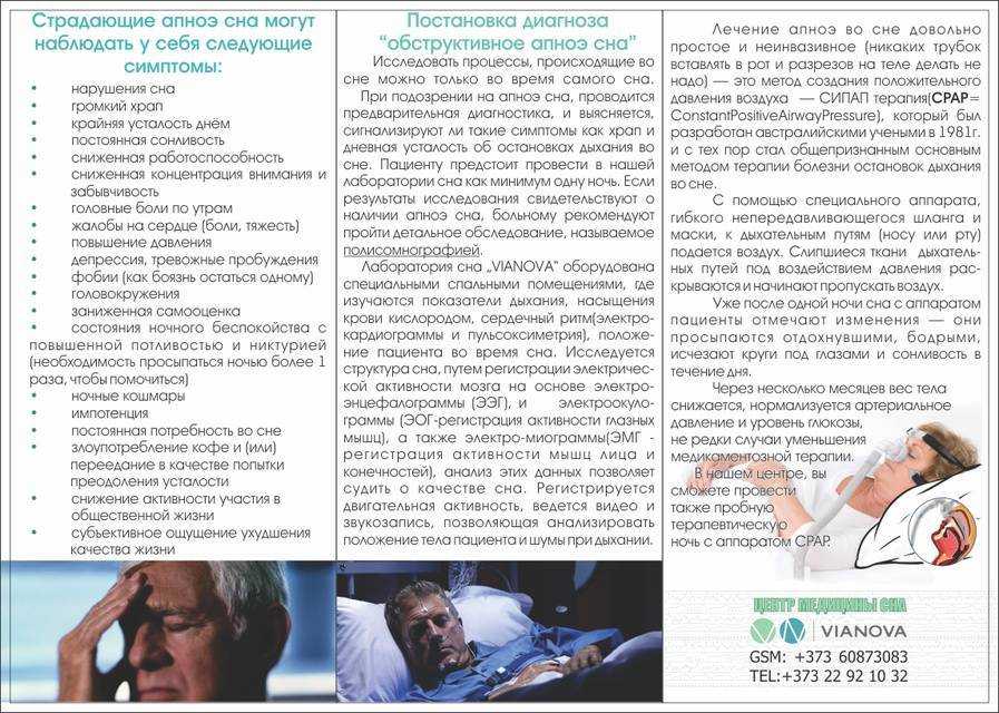 Собака храпит во сне: породные особенности и другие возможные причины