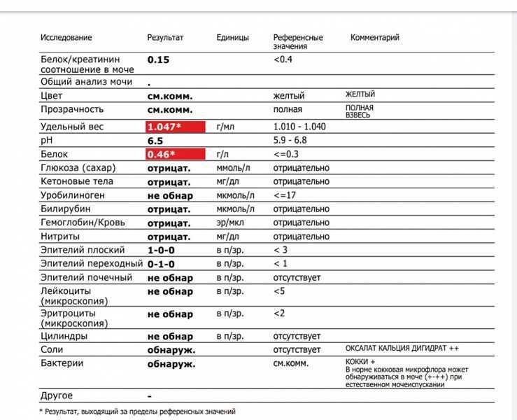 Биохимический анализ крови (7 показателей) для кошек и котов