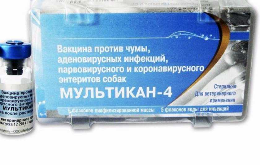 Мультикан 4 побочные действия