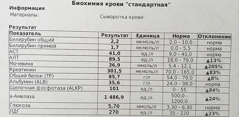 У собаки повышены эозинофилы, лимфоциты или нейтрофилы: расшифровка биохимического анализа крови