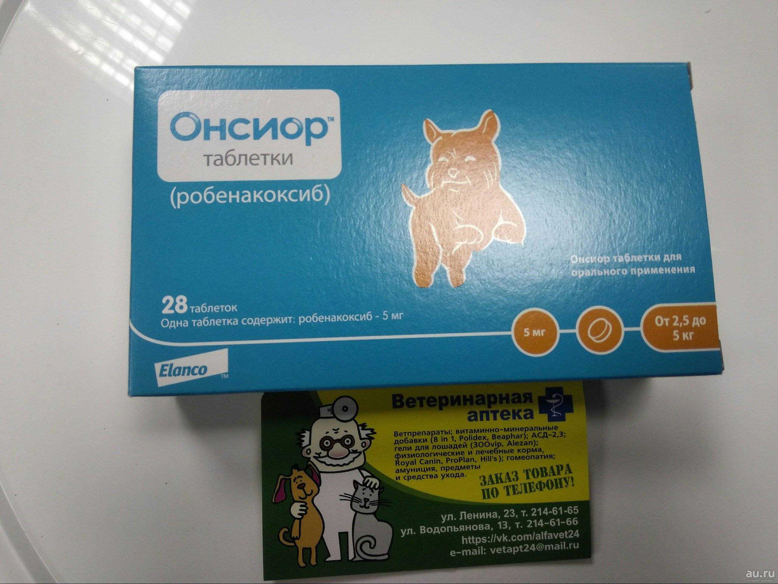 Противовоспалительный препрат для кошек Онсиор: состав и форма выпуска, показания и инструкция по применению, противопоказания, отзывы, цена