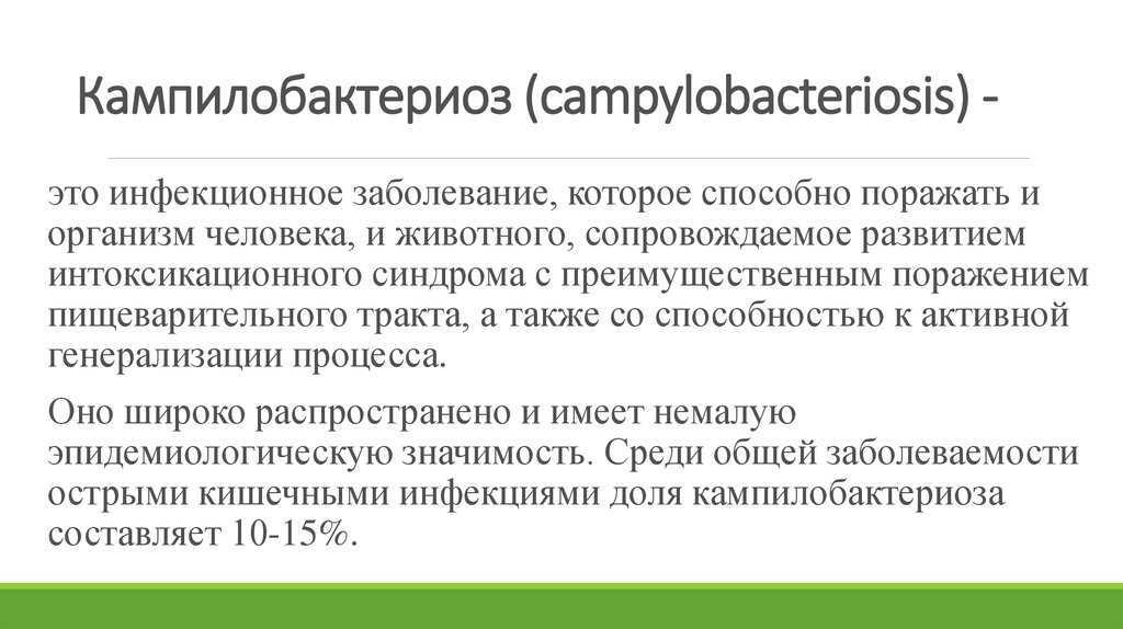 «панакур»: инструкция по применению в ветеринарии. показания и побочные эффекты для собак, кошек и лошадей