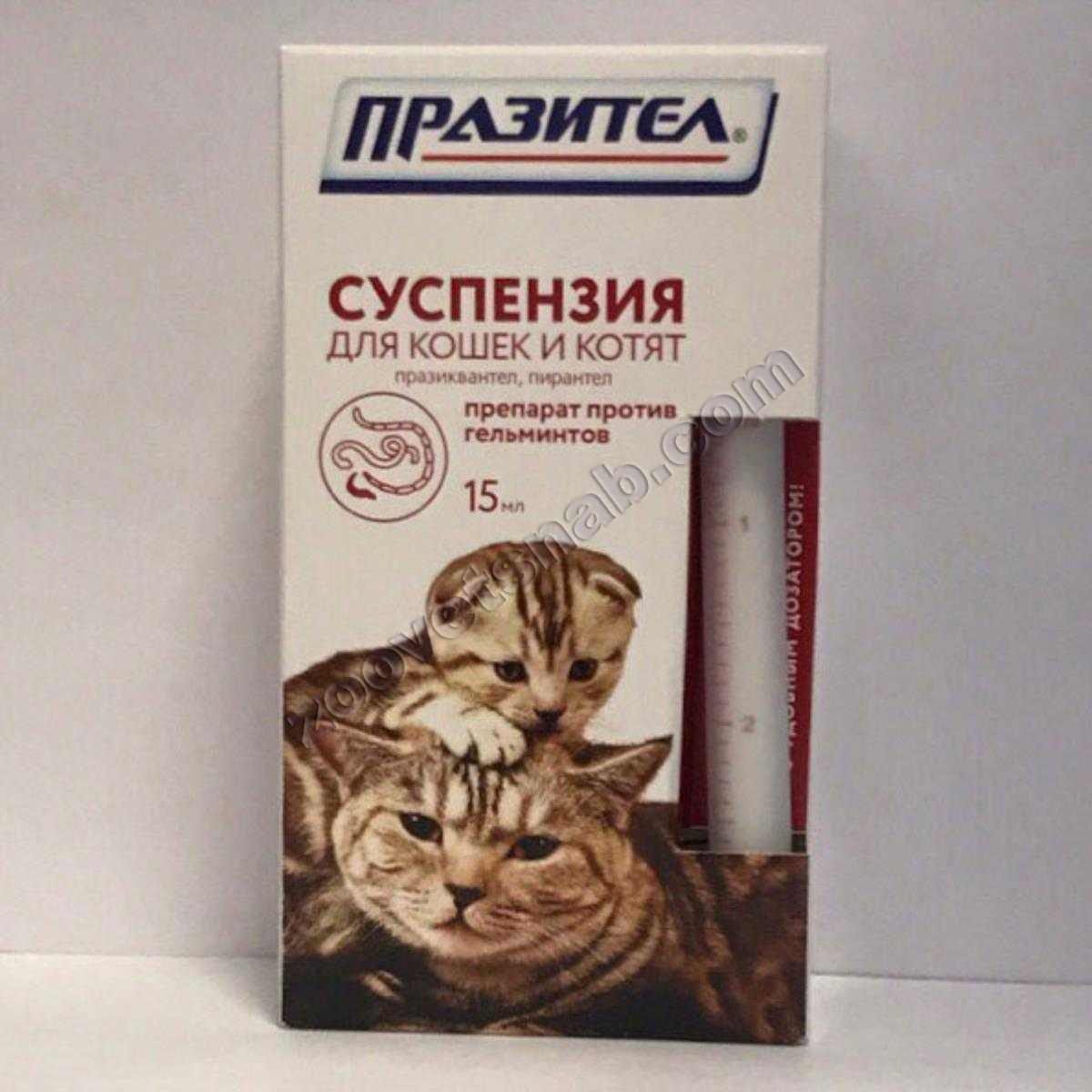 Инструкция по применению суспензии и таблеток «празител» для лечения кошек и котят от глистов, состав и дозировка