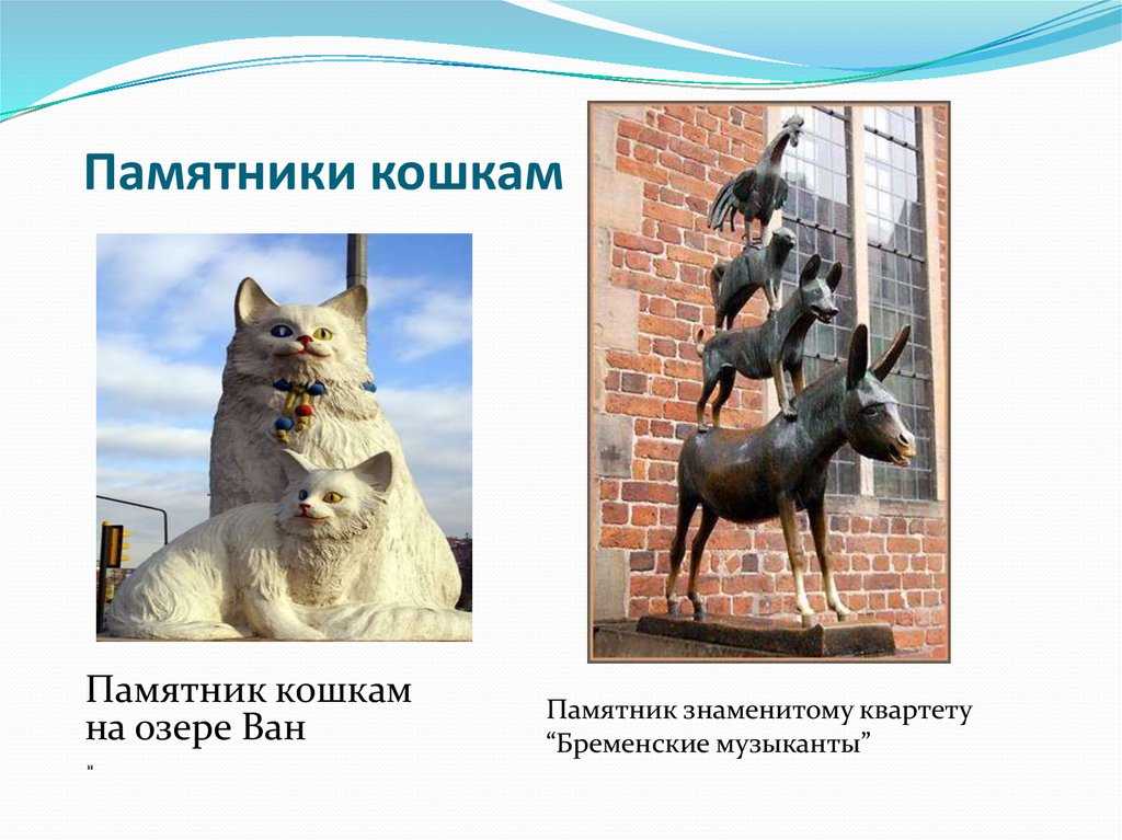 Кот елисей и кошка василиса - памятники пушистым героям блокады