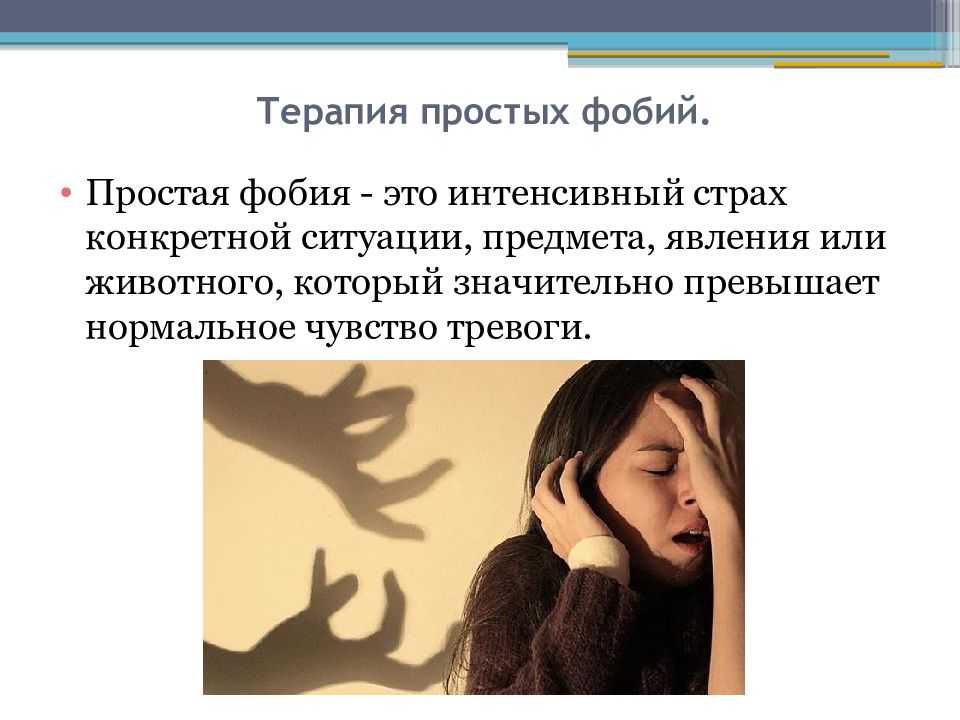 ᐉ что делать, если кошка боится людей?