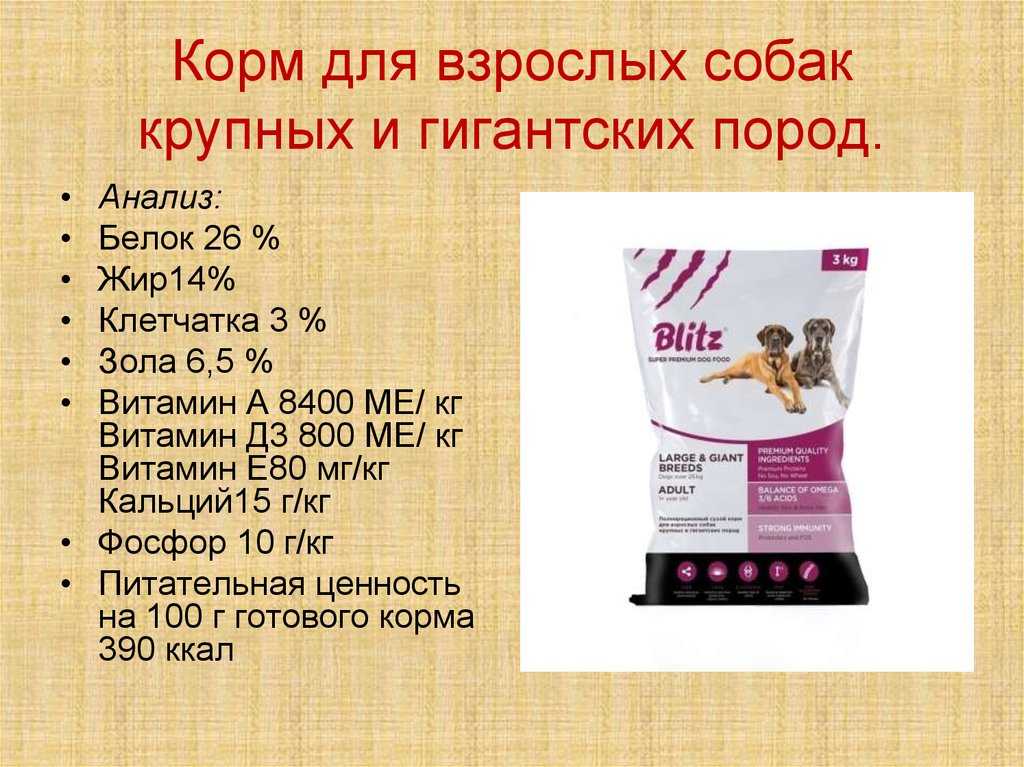 Из чего на самом деле состоят корма для котов и собак?