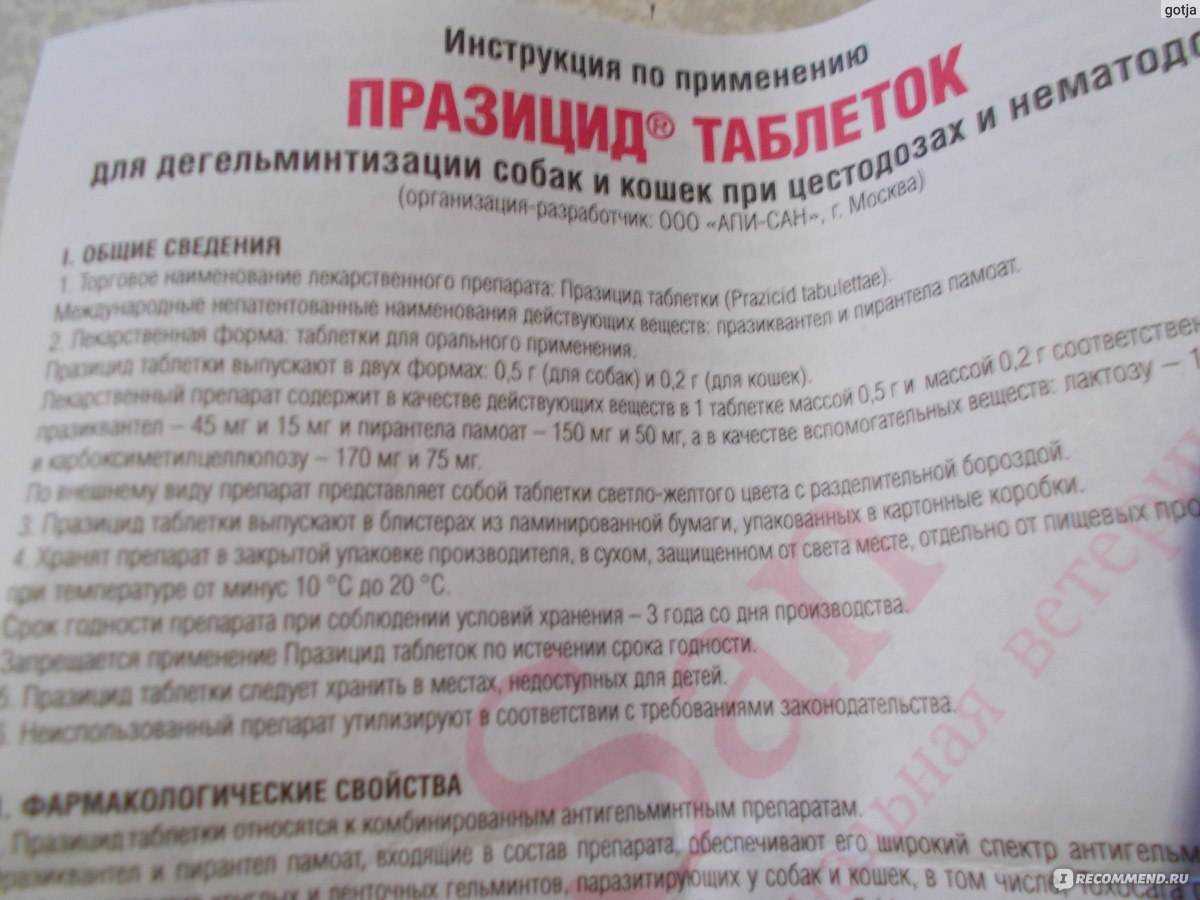 Капли, суспензия и таблетки празицид для кошек и котят: инструкция по применению, показания и противопоказания, аналоги, отзывы