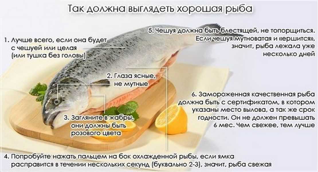 Какие кошки любят воду