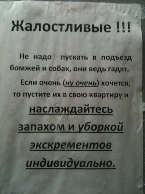 Кошачьи метки: боремся с дурной привычкой