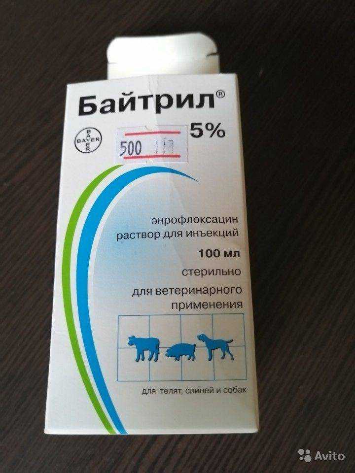 Энрофлоксацин — инструкция по применению в ветеринарии