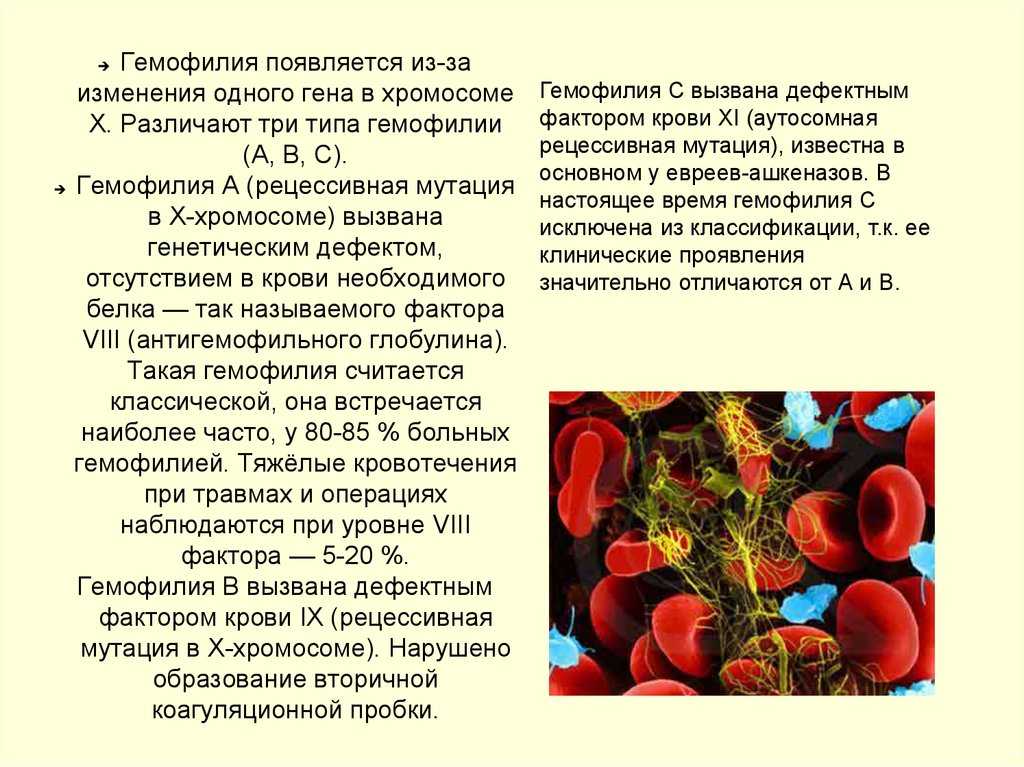 Гемофилия. гемофилия у собак и кошек: механизмы наследования и диагностика