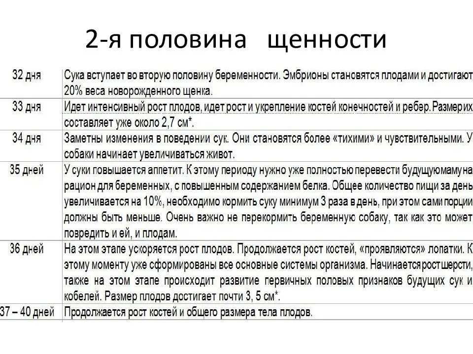 Рассчитать срок беременности у собак